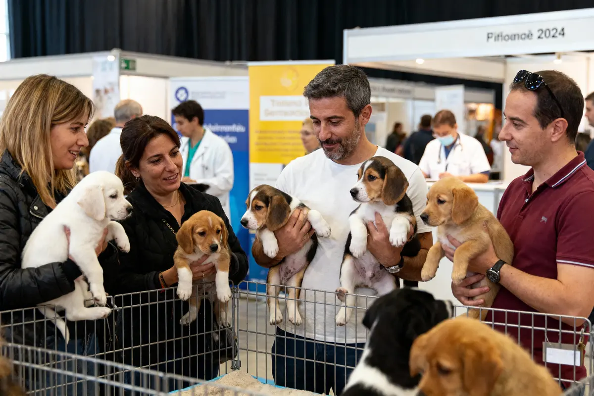 Personnes tenant des chiots dans les bras lors d'une exposition canine, entourés de petites cages.