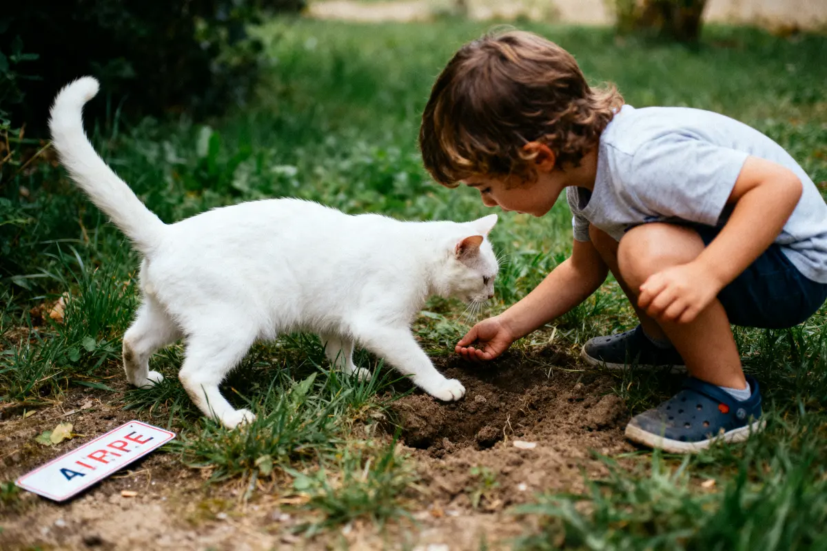 Enfant interagissant avec un chat blanc dans le jardin, à côté d'une plaque d'immatriculation miniature.